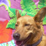 A Dog's Life Luau Party