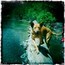 @ Fallen Leaf Lake