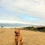 @ Fort Funston