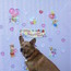 A Dog's Life - Valentine's Day Party