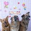 Baker with his girls: Sasha & Ginger
