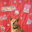 A Dog's Life: Valentine's Day 2013